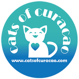 Cats of Curacao